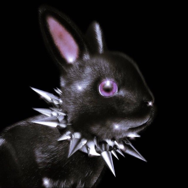 bunny br